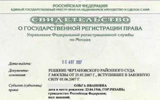 Sponzorsko pismo za šengensku vizu: kako je pravilno napraviti, uzorak dokumenta Uzorak službenog pisma konzulatu